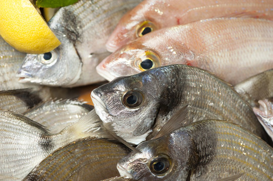Fish market