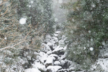 The mountain stream which is covered with snow