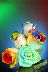 Beautiful bouquet of painted roses on colourful background, close up