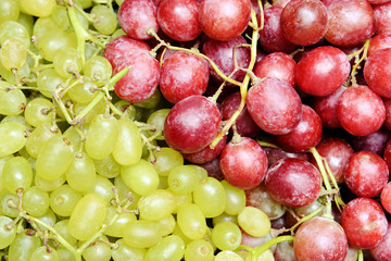 Grape background