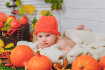 baby in the basket with pumpkins. autumn