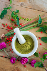 Fresh herbs powder in the mortar, alternative medicine