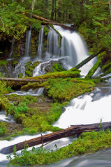 Big Creek Falls, Washington State