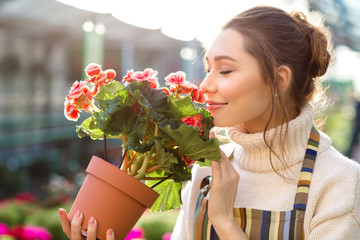 Inspired woman florist smelling flowers of begonia in greenhouse - obrazy, fototapety, plakaty