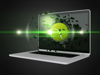 tennis ball destroy laptop