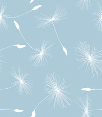 seamless background from white dandelion seeds