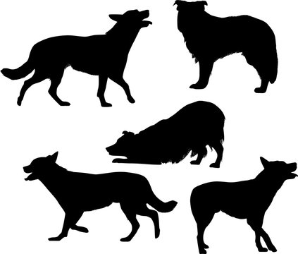 five black isolated dog silhouettes