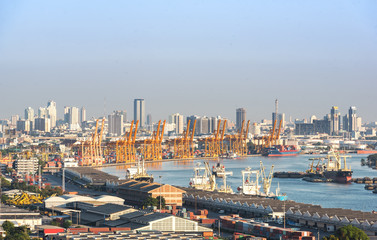 tall yellow industrial cranes rising into sky