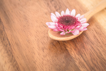 chrysanthemums flower on wooden spoon