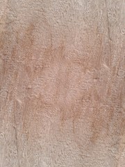 wood plank texture