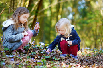 Two little sisters picking the first flowers of spring