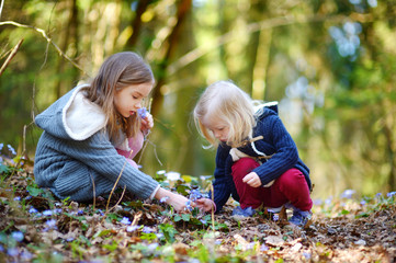 Two little sisters picking the first flowers of spring
