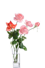 Beautiful bouquet of roses in a glass vase isolated on white bac