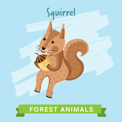 Squirrel vector. Wild and forest animals. Cartoon characters illustration. Funny Animal.