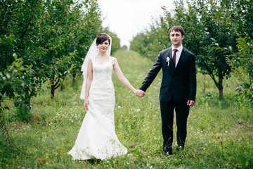 Groom and bride together. Wedding couple