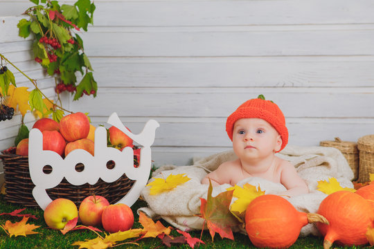 baby in the basket with pumpkins. autumn