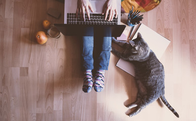 Creative workspace: girl working at the computer assisted by her cat.