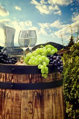 Fototapeta na wymiar White wine with barrel on vineyard in Tuscany, Italy