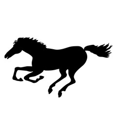 vector illustration horse silhouette black white