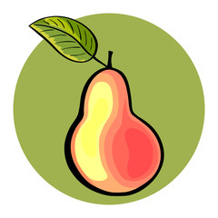 Hand drawn pear on green background