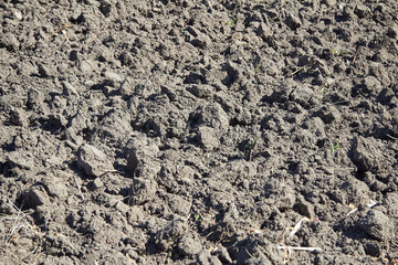 Plowed field close up