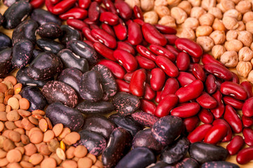 pulse bean red