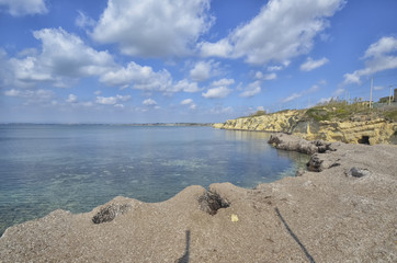 Fototapeta na wymiar Posidonia oceanica on the coast of Sicily