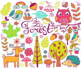 Forest design elements in doodle style