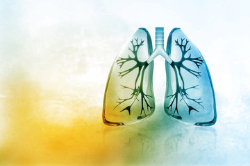 Human lungs - obrazy, fototapety, plakaty
