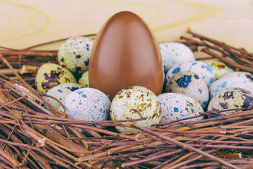 Small quail eggs and big chocolate egg in nest