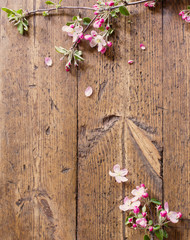 Obraz na płótnie Canvas apple flowers on wooden background