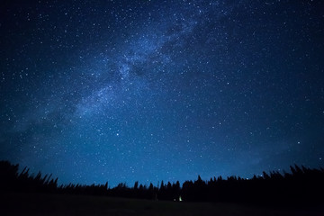 Blue dark night sky with many stars above field of trees. Milkyw - obrazy, fototapety, plakaty