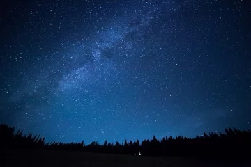 Keuken foto achterwand Nacht Blauwe donkere nachtelijke hemel met veel sterren boven het veld van bomen. Milkyw