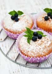 muffins with blueberry