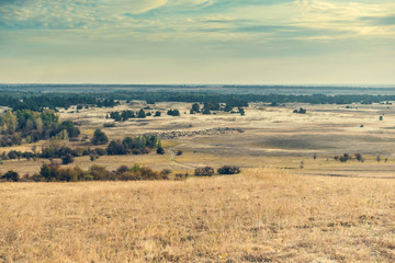 scenic view of Kharkov desert in Ukraine