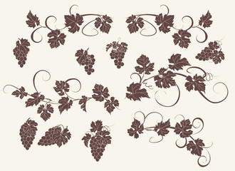 Vector design elements in vintage style with vines. - 101206652