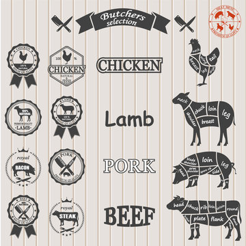 vector diagram cut carcasses of chicken, pig, cow, lamb.