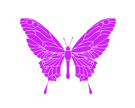 Hand drawn ornamental butterfly outline illustration 