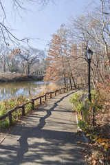 Central Park lake with walking trail and tree reflection