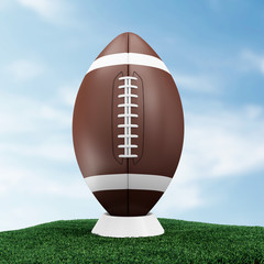 Close-up of Rugby Ball Standing on Green Grass. Sport and Recreation Concept