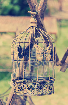 Birdcage im vintage style