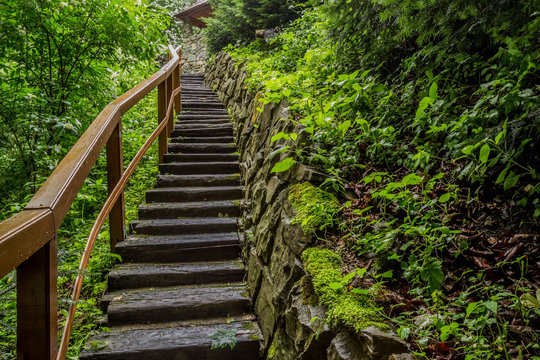 Wet wooden stairway in the woods.