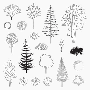 Set of vector abstract trees, line design, un-expanded strokes, ground plans and elevations, modern design, silhouette