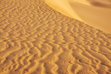 Bends, drawings on the sand in the desert on a bright sunny day