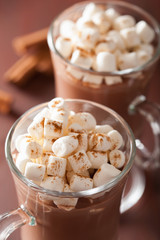 hot chocolate with mini marshmallows cinnamon winter drink