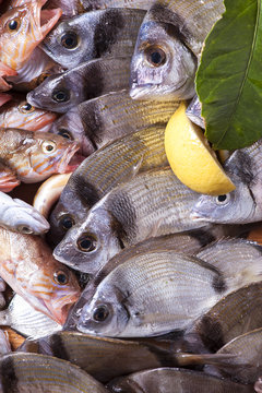 Fish market 