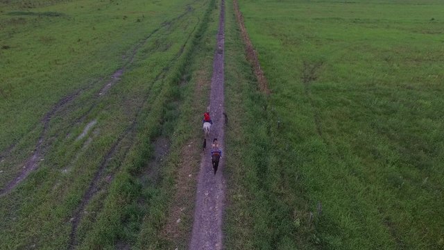 People Riding Horses at Farm, Sao Paulo, Brazil