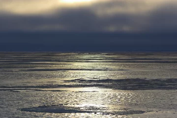 Poster Acric Ocean from air
