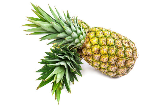 Fresh pineapple fruit on a white background.