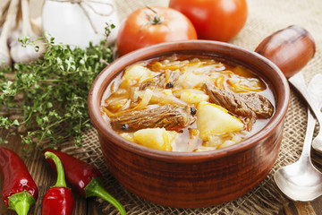 Soup with cabbage and meat